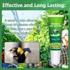 Wood Wasp Carpenter Bee Traps for Outside, 1 Pack Sticky