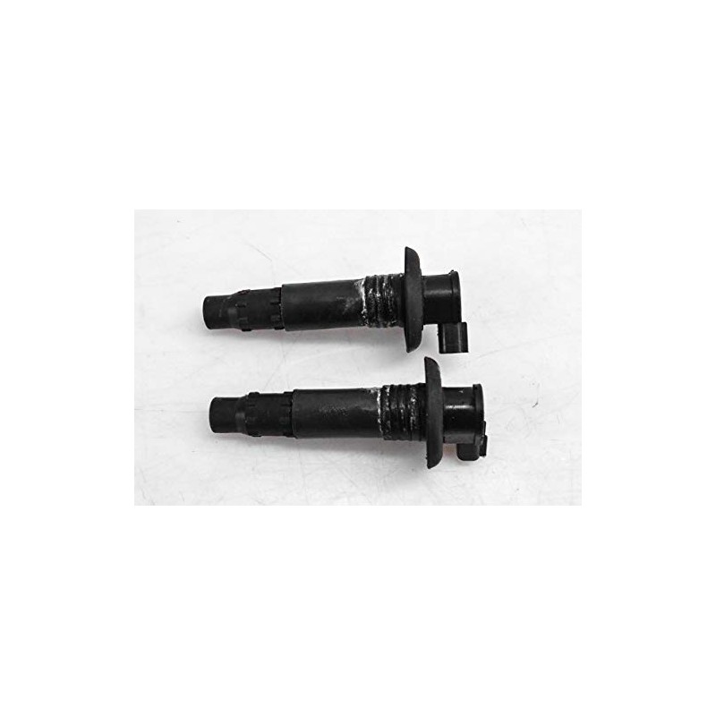 Sea-Doo New OEM Ignition Coil Kit, 296000307