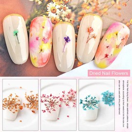 Kalolary 12 Colors 3D Dried Flowers Nail Art Decals, Colorful Dried Gypsophila Flowers Nail Art Stickers Decoration, 3D Nail Decoration for UV Gel/Acrylic Nail Design