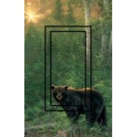 SwitchStix Black Bear 2 SwitchStix Single Rocker