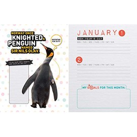 National Geographic Weird But True! Daily Planner: 365 Days to Fill With School, Sports, Friends, and Fun!