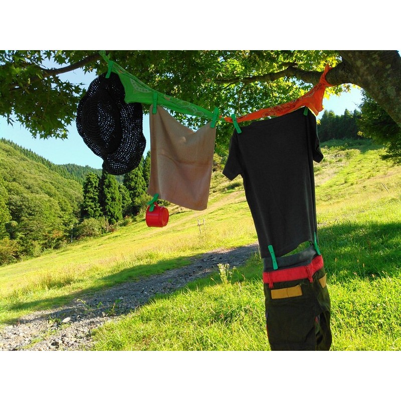 Both Clothespins from Calls kureba-pegu