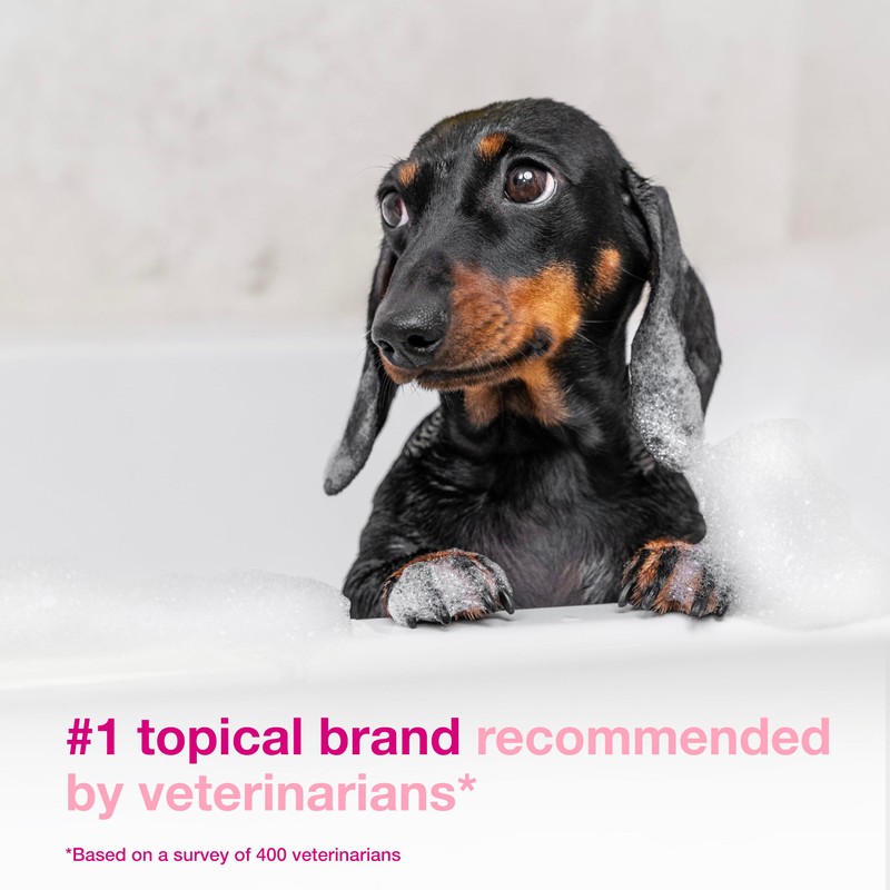 Douxo S3 Calm Shampoo, Contains 0.75% Ophytrium, Soothing, For Itchy,