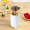 Kailund Toothpick Holder, Toothpick Case, Toothpick Holder, Push Type, Toothpick