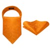 HISDERN Ascot Ties for Men Orange Paisley Cravat Tie and