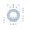 Stainless Steel M6 Eye Nut DIN582 (6MM Eyenut Ring Marine)