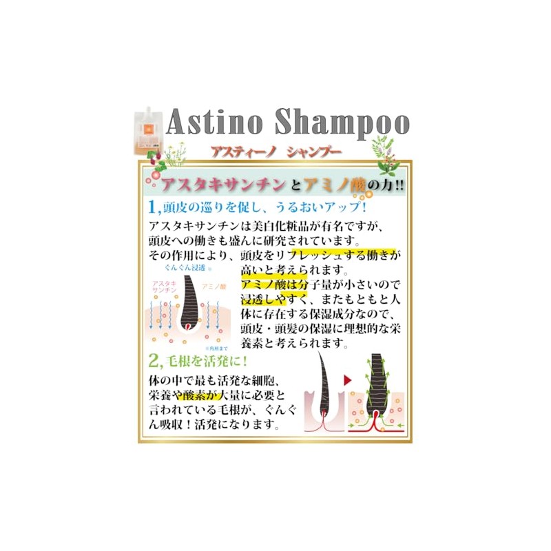 Astino Premium Shampoo 2 (Eco Bottle Type), 13.5 fl oz