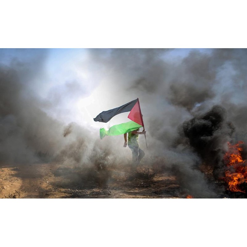 ANCONINE Palestine Flag 3x5 FT,Palestinian National Flags with 2 Brass