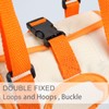 Paralyzed Dog Harness with Hind Leg Support - Small Sized