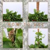1pcs Bendable Moss Pole for Plants Monstera120mm, Handmade Coco Coir