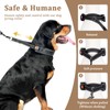 Mayerzon Martingale No Pull Dog Collar, Reflective Walking Collar for