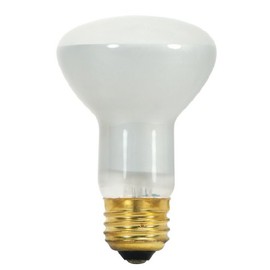 Satco S8519 130-Volt 45-Watt R20 Medium Base Light Bulb, Frosted