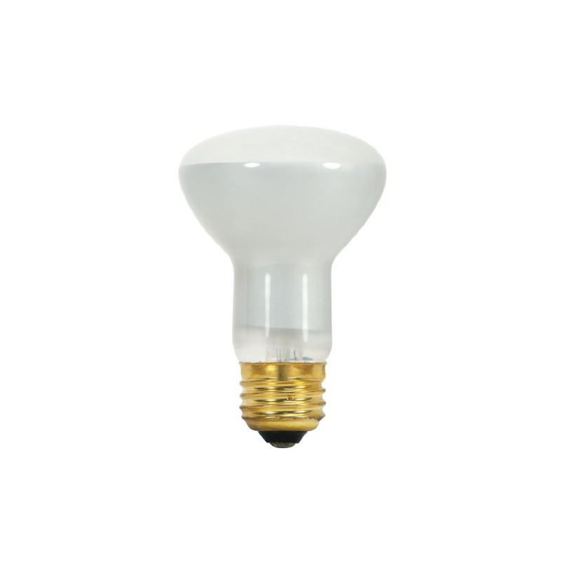 Satco S8519 130-Volt 45-Watt R20 Medium Base Light Bulb, Frosted