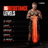 Undersun Resistance Band for Working Out | 40-80 lbs (Heavy)