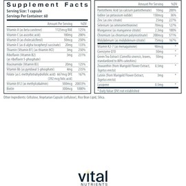Vital Nutrients Once Daily Multivitamin - Vegan Multi for Women & Men - Allergen-Free - 19 Essential Vitamins + Antioxidants for Eye and Heart Health 