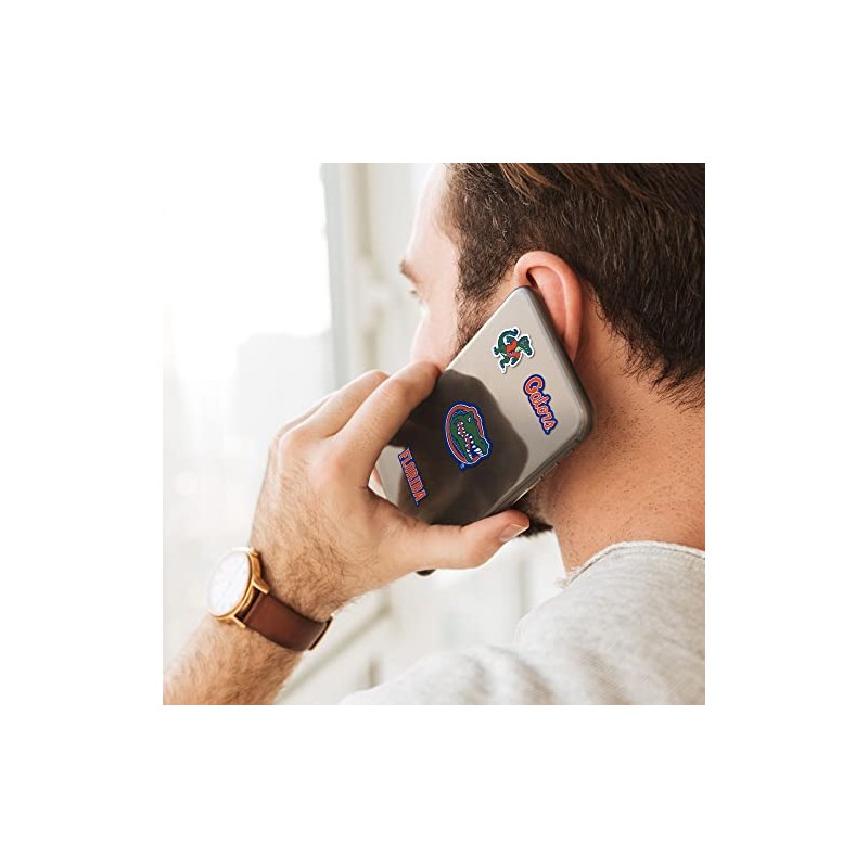 Fanmats 61158: Florida Gators 12 Count Mini Decal Sticker Pack