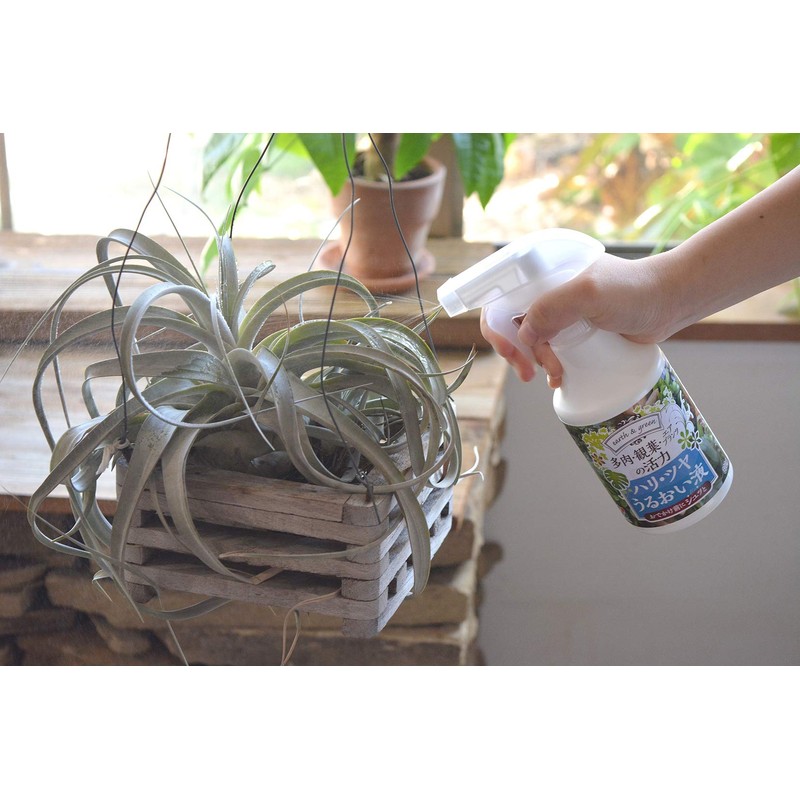 Hanagokoro Succulent & Air Plants Vitality Hari Gloss Moisturizing Liquid,