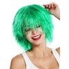 Wig Me Up MMSLW-K3070 Unisex Carnival Clown Wig / Shaggy,