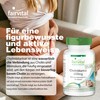 Fairvital | Cholinbitartrat 600mg - 90 Tabletten - Leber &