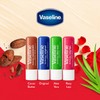 Vaseline Lip Therapy Variety 4-Pack, Moisturizing Lip Balm with Vitamin