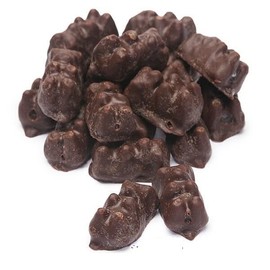 Bayside Candy Dark Chocolate Gummy Bears - Gourmet Dark Bulk Candy - Dark Chocolate Covered Gummy Bear Candies (2LB)