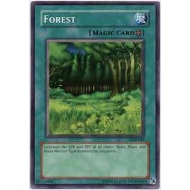 Yu-Gi-Oh! - Forest LOB-046 Common - Legend of Blue Eyes White Dragon