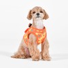 Puppia Bacopas Dog Vest Harness B (Step-in) Fashionable Flower Pattern