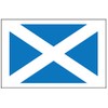 8 Large Scotland Flag Tattoos: Scottish Party Favors