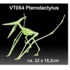 EDU-TOYS Pterodactylus Pterodactylus Glow-in-the-Dark Quick Kit