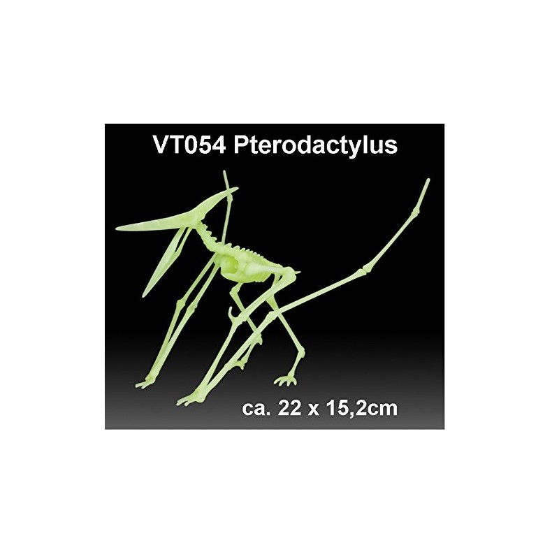 EDU-TOYS Pterodactylus Pterodactylus Glow-in-the-Dark Quick Kit