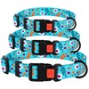 Nylon Dog Collar Floral Pattern Aquamarine 12-16 inch