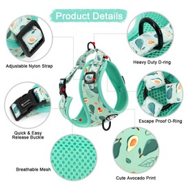 Dog Cat Harness and Leash Set, Puppia Soft Mesh Padded and Adjustable Puppy Vest Cute Dog Clothes Escape Proof Easy Walk Dog Accessories