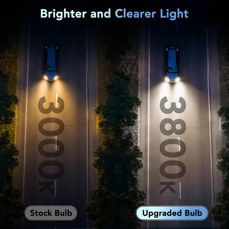 H11 Halogen Bulbs, 12V 55W, 3800K Warm White, High Performance,