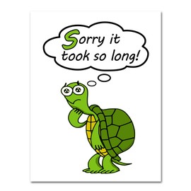 Small World Greetings Sorry It Took So Long Turtle Cards 12 Count - Blank Inside with Envelopes - A2 Size 5.5" x 4.25" - Belated Birthday, Apology, Belated Thank You