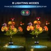 2 Pack Solar Garden Lights Outdoor, 8 Lighting Modes Warm