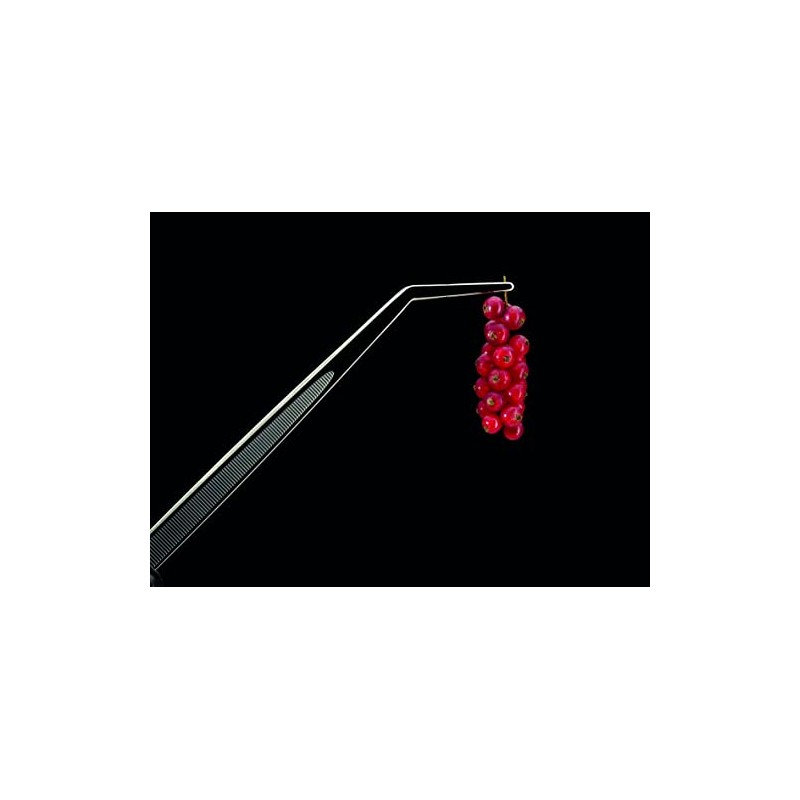 PIAZZA steel precision spring bends cm23.5 Kitchen accessories