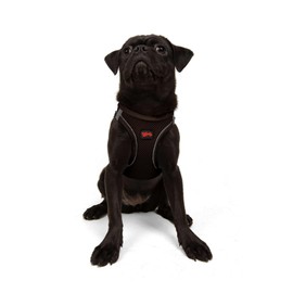 Tailpetz Dog Harness Medium Sized Dog, Adjustable No Pull Step in Harness Medium Size Dog, Reflective Puppy Harness for Puppy Training, Medium Dog Harness Boy Girl (Brown, M)