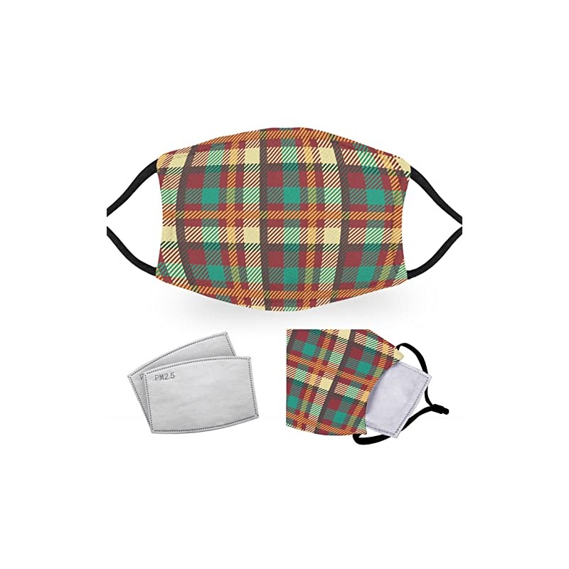 Madras Tartan - Reusable Adult Face Masks - 2 Filters