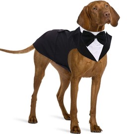 IDOMIK Dog Tuxedo Suit For Small Medium Large Breed, Formal Dog Tuxedo Vest Set With Detachable Bow Ties Collar & Bandana Scarf, Gentle Pet Costume/Dress/Clothes/Shirt For Wedding Birthday Party Black