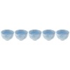 Mino Ware Sencha Set of 5 Hanashizuku 569-31-32E(5)