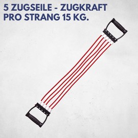 Best Sporting Expander Fitness I Bänder Krafttraining in rot I Widerstandsbänder Krafttraining durch 5 Zugseile á 15kg I Trainingsband I Ideal für Ganzkörpertraining