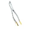 Premium German Gold Dental Extracting Extraction Forceps #151-Lower Bicuspid, Lower