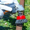 WENORA 12 Pack Wire Brushes - 4 Inch Angle Grinder