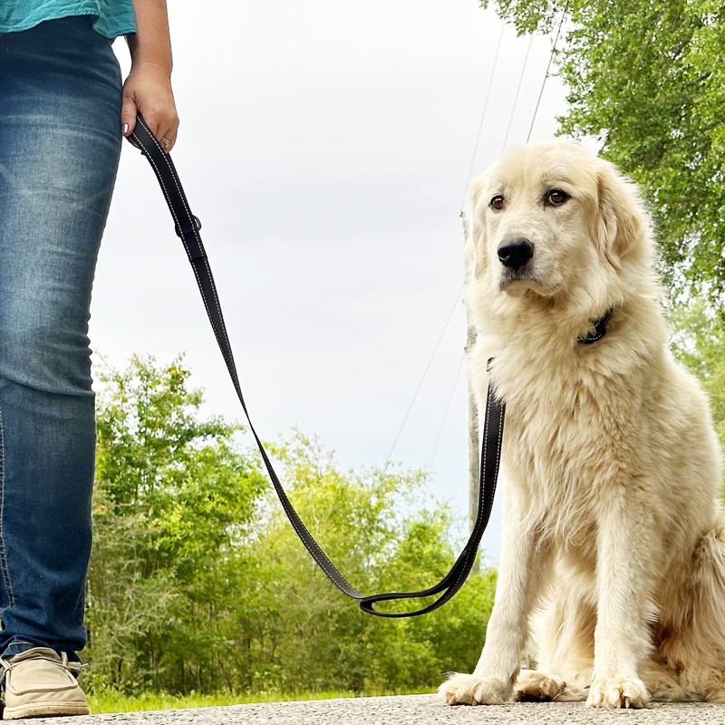 Joytale Dog Leash Heavy Duty for Large Dogs That Pull,