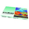 NERCHAU Lukas Studio Goauche Premium Quality Artist Gouache Starter Set