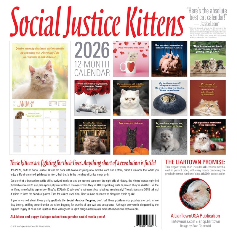 Social Justice Kittens 2026 Calendar