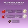 NEXT-MICROBIOME Boost Synergy Probiotic Akkermansia Muciniphila, Clostridium Butyricum HMO Ashwagandha,