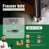 Fraiser – High-Performance Flush Cutter