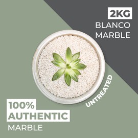 Natural World Rock Plant Topper Rocks - Beautiful Natural Rocks | 4lbs | 1/5" Diameter | Home & Garden Plant Pots Vases and Decorations (Blanco (White) Marble)