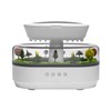 Irishom Raindrop Humidifier Machine LED Lights Drip Music Bedroom (US